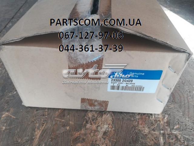 233002G420 Hyundai/Kia Корпус балансувального механізму