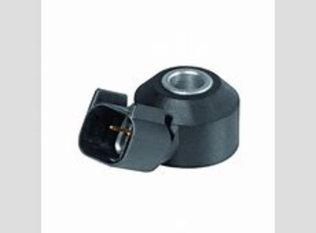Молдинг лобового скла, верхній GS5003P133X Icor