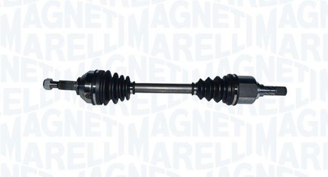 TDS0065 Magneti Marelli 