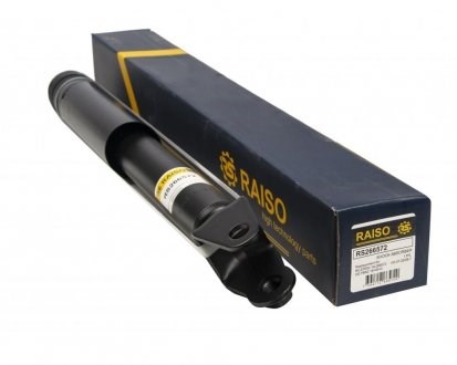 RS266572 Raiso Амортизатори задні