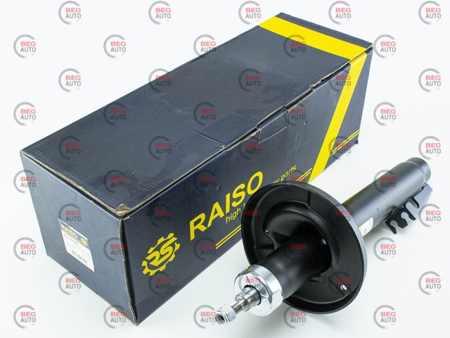 RS100620 Raiso Стійка передня