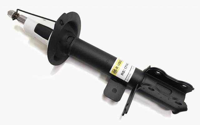 Купити RS317140 Raiso Амортизатор задній, правий