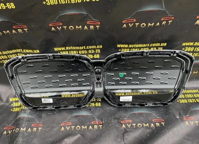 Купити 51119881798 BMW Захисна решітка радіатора