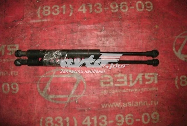 844309Y000 Nissan/Infiniti Амортизатор кришки багажника / двері 3/5-ї задньої