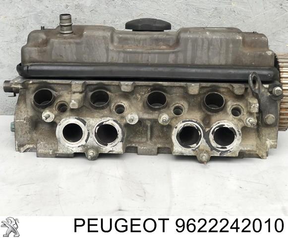 9622242010 Peugeot/Citroen 