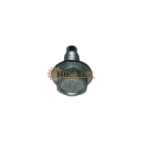  Chery N10040003