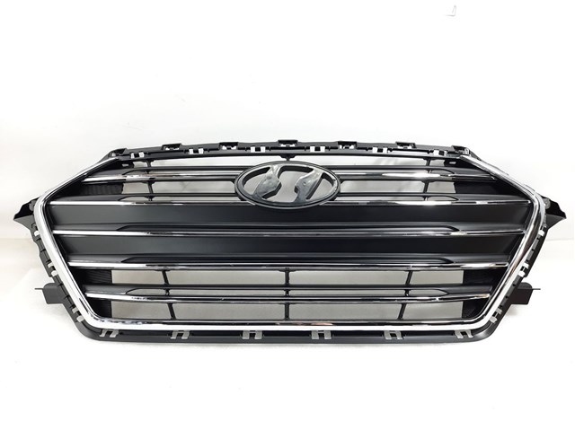 Купити FP3252991 FPS Захисна решітка радіатора