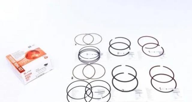 PRCHE491405025SET AMP/Paradowscy Кільця поршневі комплект на мотор, 1-й ремонт (+0,25)