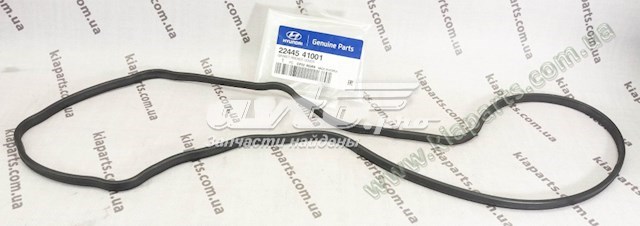 2244541001 Hyundai/Kia Прокладка кришки клапанної 