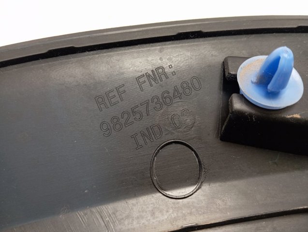  9825736480 Peugeot/Citroen