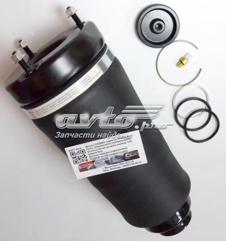 Купити A2513203113 Mercedes Амортизатор передньої підвіски
