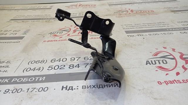 5342033380 Toyota Завіс капота, лівий