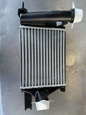 Купити 144966757R Renault (RVI) 