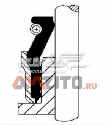 12030170 Corteco Сальник клапана (маслоз'йомного), впускного