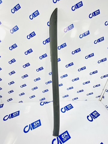 Купити RWS1703 Rotweiss Молдинг вітрового скла лівий
