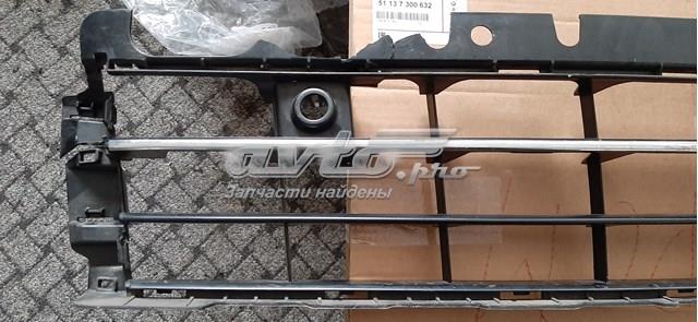 Решітка переднього бампера, центральна VAG 5C5853671P2ZZ ціна, від 347.23 USD