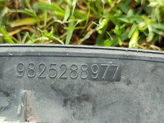 9825288977 Peugeot/Citroen 