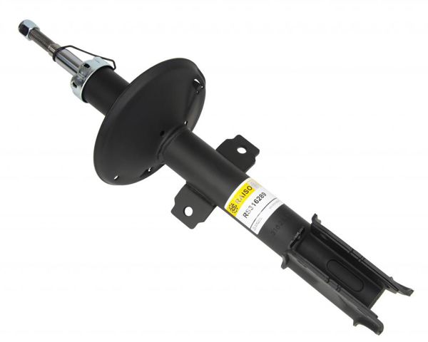 RS316289 Raiso Стійка передня
