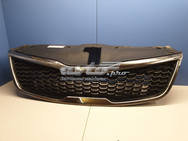 Купити 863504Y500 Hyundai/Kia Захисна решітка радіатора