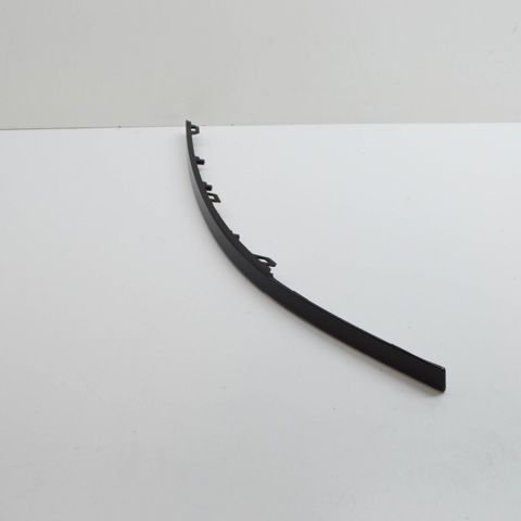  T4K5814 Jaguar