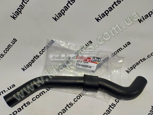 KM0600537 KAP Шланг/патрубок радіатора охолодження, нижній