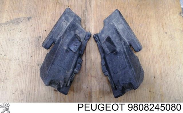  9808244980 Peugeot/Citroen