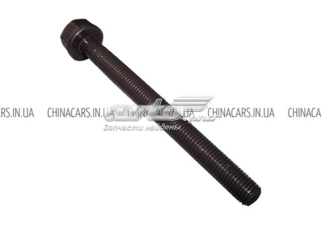  481H1002024 Chery