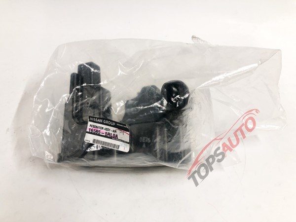 165855RL0A Nissan/Infiniti 