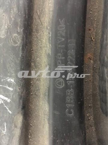  C1BB15A222D Ford