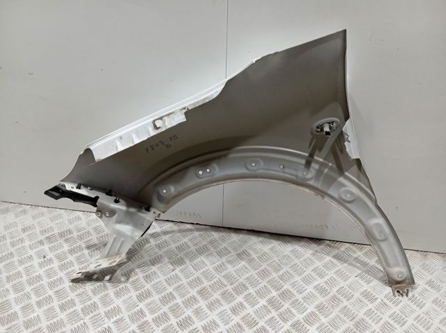 Купити 9801112080 Peugeot/Citroen Крила