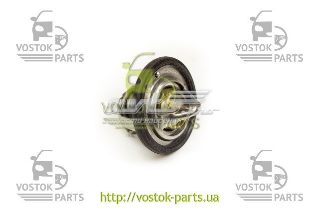 Y006110 Chana Сальник колінчастого валу