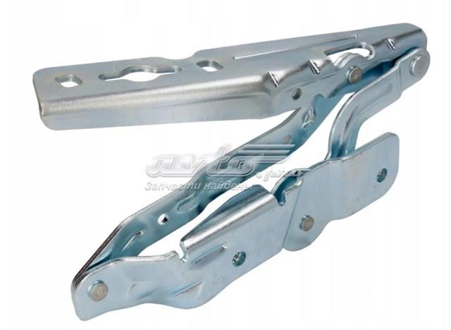 Завіс капота, правий Ford AM5116800BF ціна, від 59.21 USD