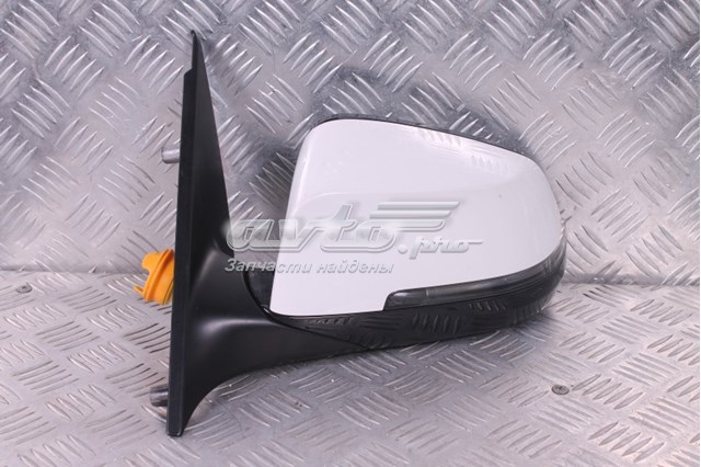  F01531219931P BMW