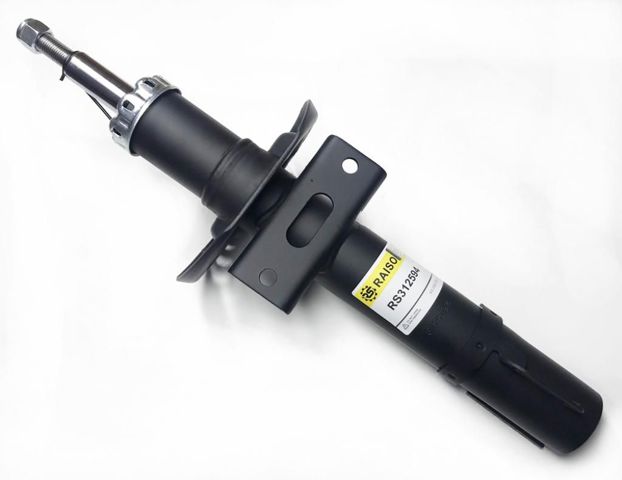 Амортизатори передні Raiso RS312594