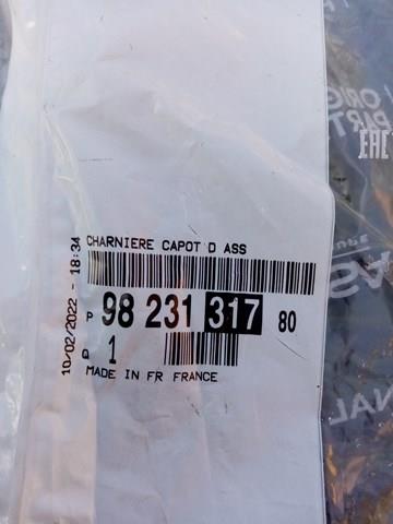 9808654480 Peugeot/Citroen Капот
