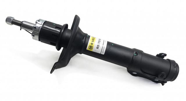 Амортизатори передні Raiso RS170160