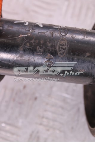 Амортизатор передній 546113F400 Hyundai/Kia