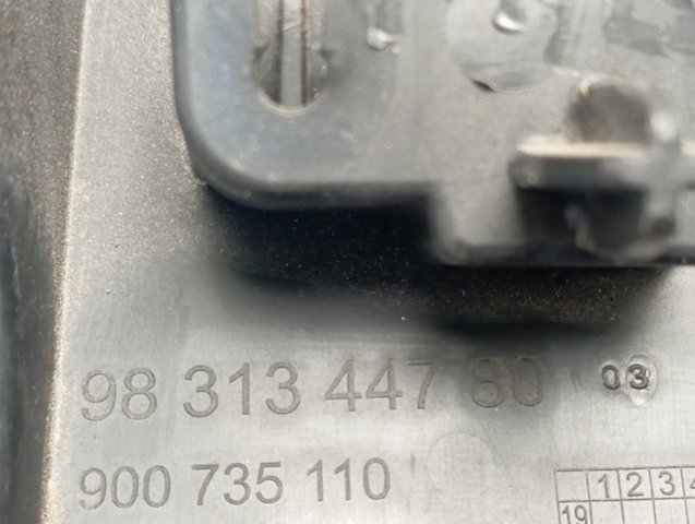 9831344780 Peugeot/Citroen