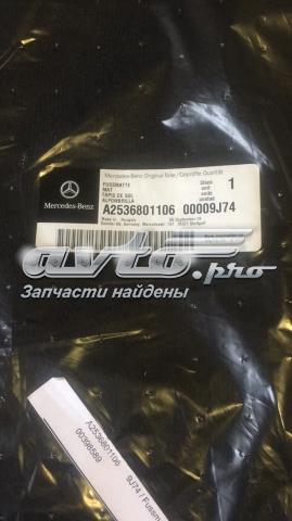 A25368011069J74 Mercedes 