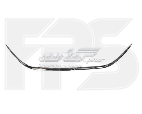  FPS FP3228913P