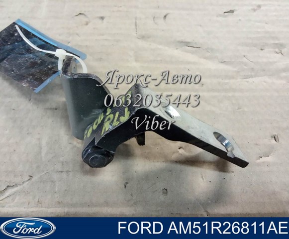 AM51R26811AE Ford Петля задніх лівих дверей