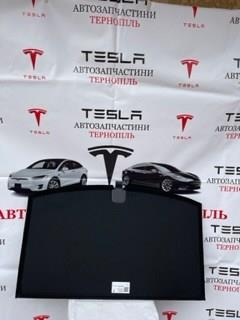 Купити 149294900B Tesla Облицювання багажного відсіку нижнє