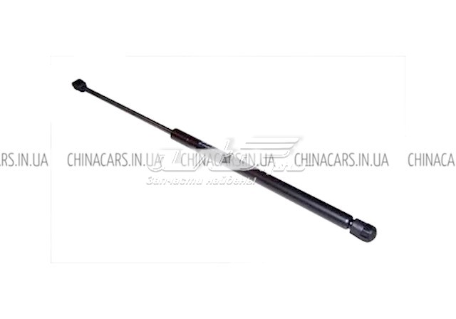 Chery S215605010