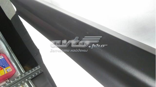828705NA0A Nissan/Infiniti Накладка задніх правих дверей, нижня