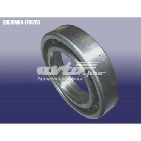  519MHA1701703 Chery
