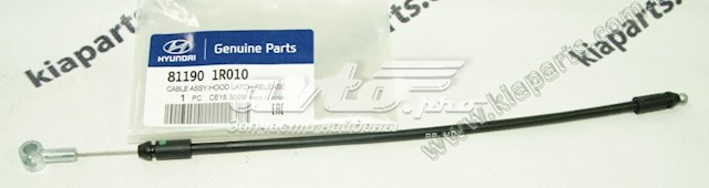 437704B260 Hyundai/Kia 