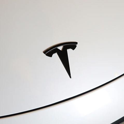 Фірмовий значок капота Tesla 149494900A ціна, від 11.40 USD