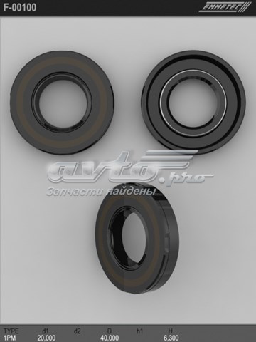  F00100 Emmetec