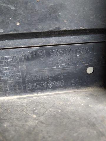  Peugeot/Citroen 9652918980