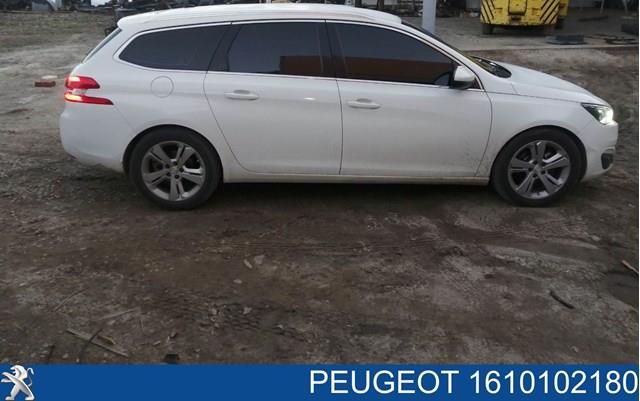 Дверка передня права Peugeot/Citroen 1610102180